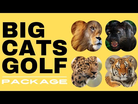 Tiger's Eye Golf Links video preview