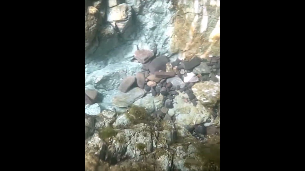 新天地に行ってみた！！砂金に会えるのか？　shorts編　gold dust