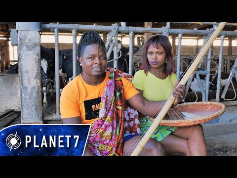 Domirey - Mida | Official Video UHD 4K