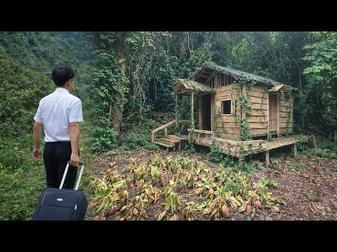 Ich verließ die Stadt den Wald.Ich baute Häuser.Alle lachten.Ein Jahr später:Unglaubliche Ergebnisse