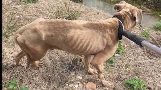 Peyton's Transformation