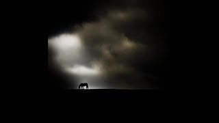 talihim yok bahtım kara / Zeynep Bakşi Karatağ