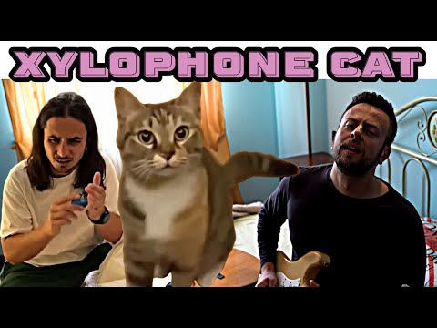 The Kiffness x Spaul - Xylophone Cat (Singing Cat Collab)