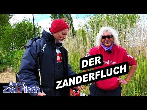 Pike-perch fishing and distinguished visitor - Jörg Ovens and Didi with baitfish - Our goal is fish