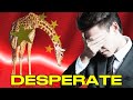 China S Tanking Economy And The Giraffes