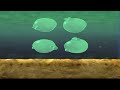Brother Bear UK DVD Menu Walkthrough 2004