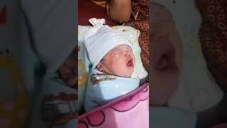 Download lagu bayi baru lahir lucu gemoy mp3
