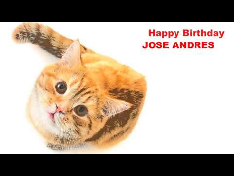JoseAndres   Cats Gatos - Happy Birthday
