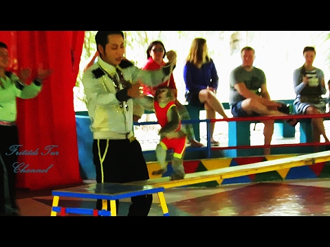 Monkey Circus Show 2017 Monkey Island Nha Trang Vietnam