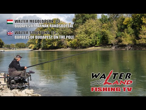 EPISODE 23: Budapesti márnák rakósbottal - Barbels of Budapest on the Pole