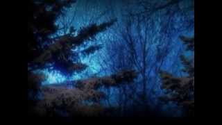 Accept - Winter Dreams