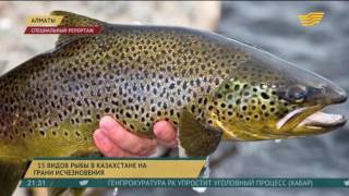 Книга почему рыба не клюет картинки