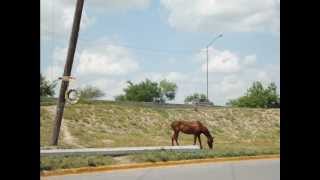 John Denver Opposite Tables- Reynosa, Tamaulipas, Mexico Photo Collage