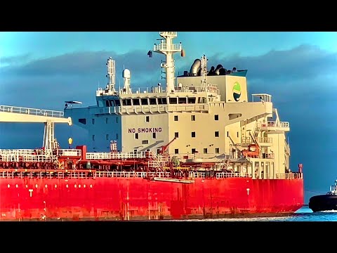 SHIPSPOTTING Port of LOS ANGELES October 2023