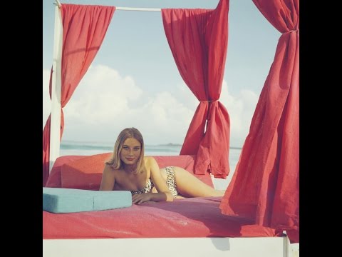 CARRI GROUP CG JINTEOK