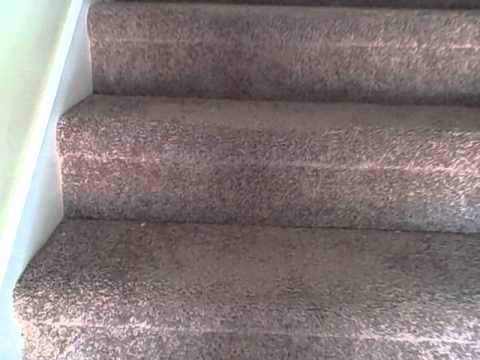 1316 - 1322 Benley,  Murfreesboro, Tennessee