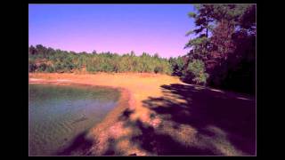 Pieces of a Lifetime