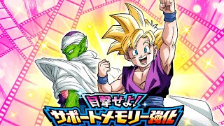 TEAM CHALLENGES COMPLETE!!! Behold! Support Memory Boost | DBZ DOKKAN BATTLE