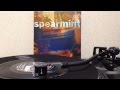 Spearmint - Sweeping The Nation (7inch)
