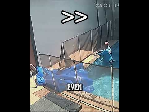 The Pool Worker Became a Hero #dog #animals #rescue