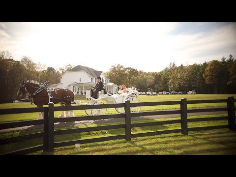 download lagu mp3 mp4 Almond Creek Cakery, download lagu Almond Creek Cakery gratis, unduh video klip Almond Creek Cakery