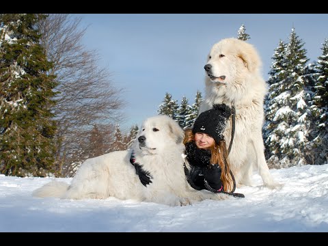 Apartmány Brána Adršpachu, celoroční ubytování s panoramatickým výhledem z Wellness centra Stodola
