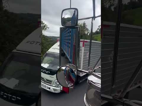 Buenos días mi galladita 😎 Aldana Nariño