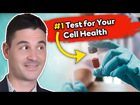 Cellular Inflammation Test You’ve Never Heard Of | Metaoxy Breakdown
