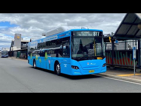 Busabout Sydney: m/o 8433 - BYD D9RA Gemilang Eco City Bus