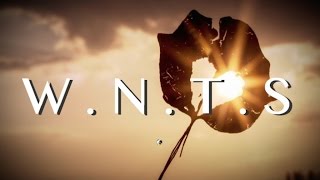 Autumn Jazz [WNTS] - 1h of Rain and Leaves