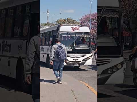 Empresa San Pedro de Colalao coche 55 , Tucumán