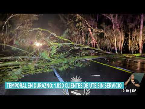 Durazno: vientos de más de 70 km/h provocaron desprendimientos de techos y caída de árboles