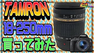 中古レンズ TAMRON 18-250ｍｍ買ってみた＋今更APS-Cの話【CANON デジカメ】