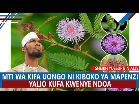 MTI WA KIFA UONGO NI KIBOKO MAPENZI YALIO KUFA KATIKA NDOA |SHEIKH YUSSUF BIN ALLY