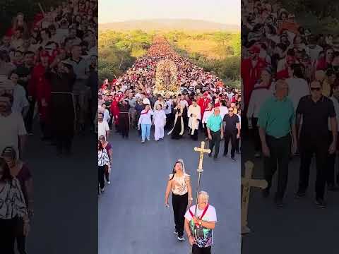 #Repost @romeiros_do_padre_ciceroProcissão de São Francisco em Ibirajuba-PE 🕊️