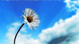 Andy blueman- Everlasting (Aerial state remix)