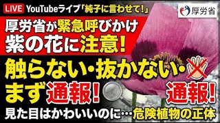 日本保守党 群馬二区支部長 伊藤純子 がライブ配信中！