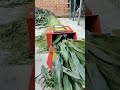 Mesin Pencacah Rumput Kapasitas 4 Ton Jam Mesincacahrumput