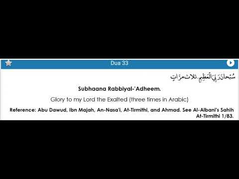 Dua 33 - Dua during Ruku (1)(Bowing in Prayer) - Fortress of the Muslim - Hisnul Muslim