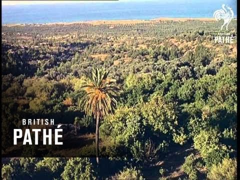 Cuts / Out Takes For Cp 550 - Cyprus - Reel 1 Of 4 (1965)