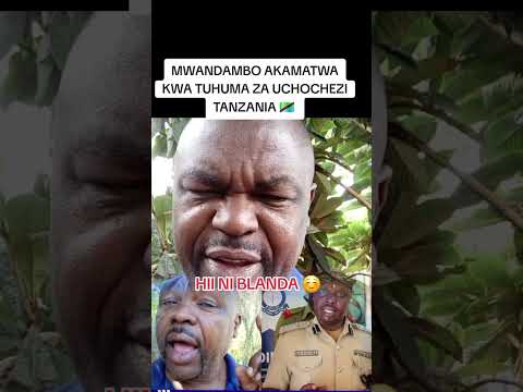 YANI UYU MAMA SAMIA  AMESHA MTEKA CLEMENCE MWANDAMBO #shrots