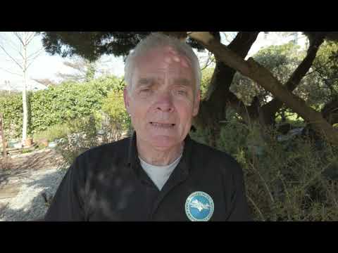 2020-03-22 - Covid 19 Message for the Media