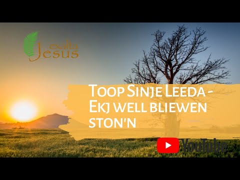 Ekj well bliewen ston'n | Toop Sinje