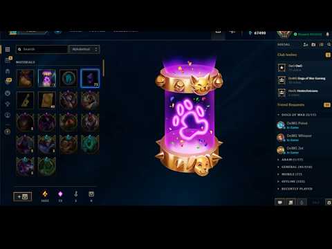 Dogs vs Cats Event Chest Opening + Fuzz Fizz Prestige Edition Reroll - League of Legends