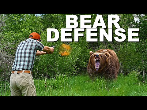 Bear Defense Handguns