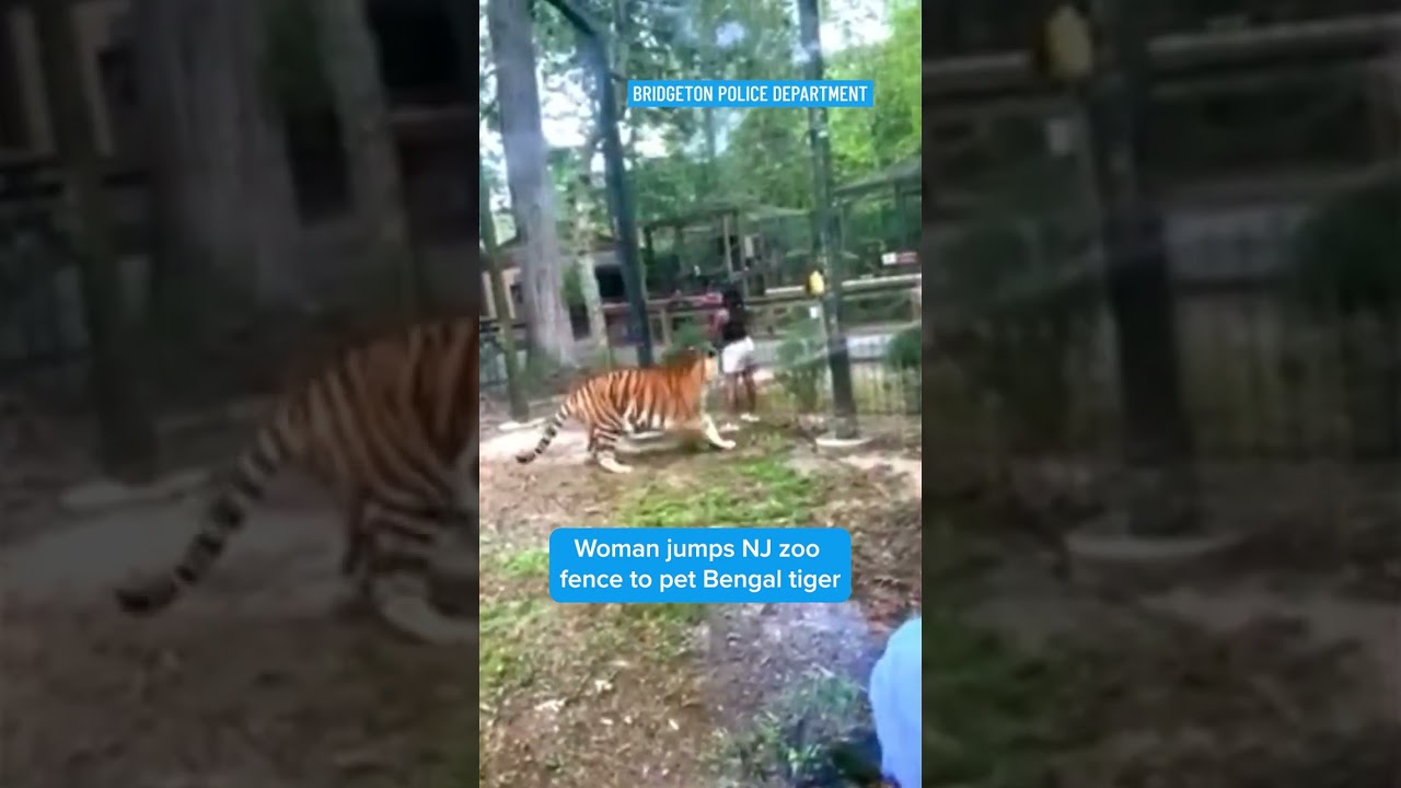 Woman nearly loses hand taunting tiger at NJ zoo