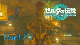評判の良いエステがあると聞いて馳せ参じたのだが？？？-ゼルダの伝説 Tears of the Kingdom -part29-
