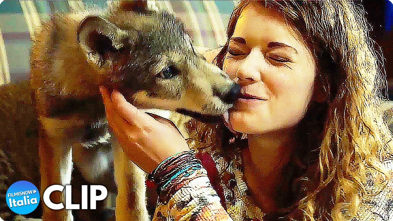 IL LUPO E IL LEONE (2022) Nuove Clip dall'Emozionante Film d'Avventura