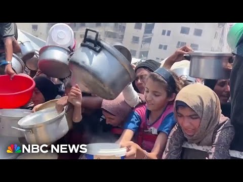 Israel pauses fighting as outrage grows over crisis in Gaza