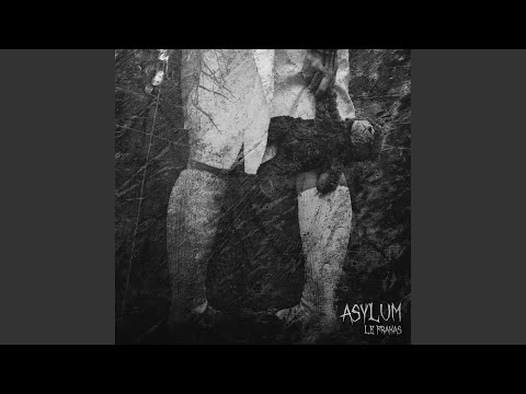 Asylum